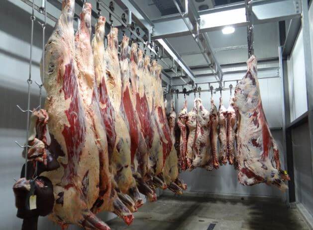 Beef cold room storage Ekule Agro