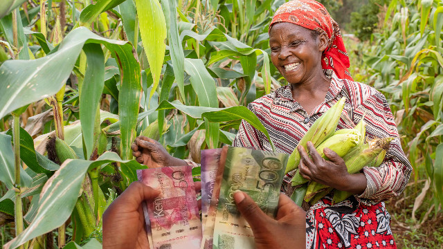Farmer financing Kenya shillings-Photoroom